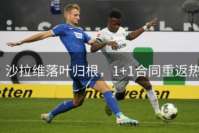 沙拉维落叶归根，1+1合同重返热那亚