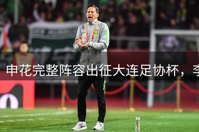 申花完整阵容出征大连足协杯，李松益等伤愈复出